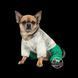 Костюм Pet Fashion Man для собак, розмір XS2, зелений PR242760; PR242761 фото 2