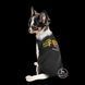 Борцівка FBI Pet Fashion PR242024 фото 2